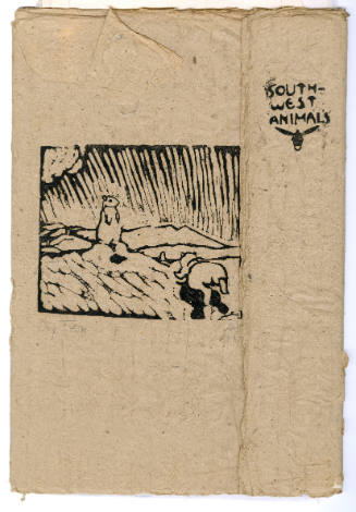 "Southwest Animals" portfolio with "Dog Town" on cover
