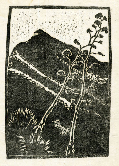 Untitled (mountain with desert plants)