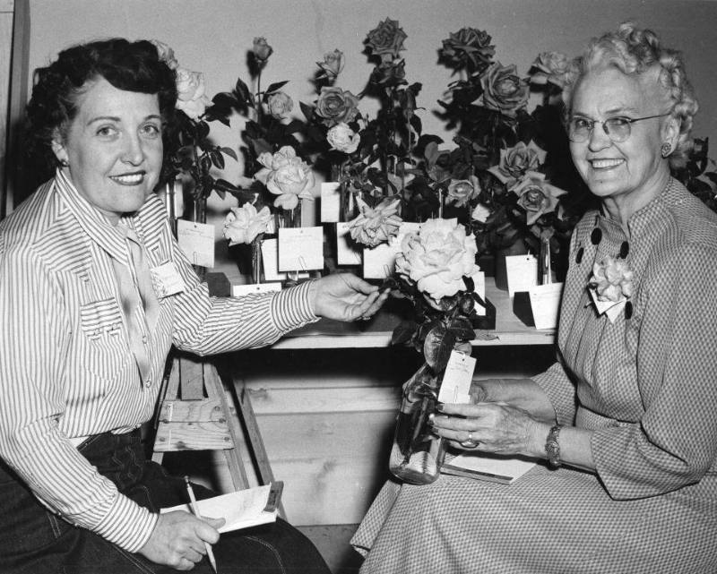 Mrs. L.E. Brooks and Mrs. J.L. Westerman compete in the Flower Show