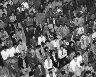 A crowd watching the circus at the rodeo grandstand