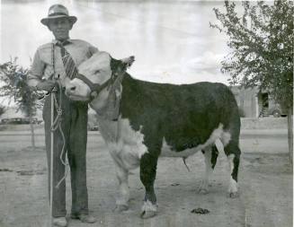 A prize winning bull stands by an unidentified teenaged boy