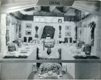 Colfax County agricultural exhibit at the State Fair