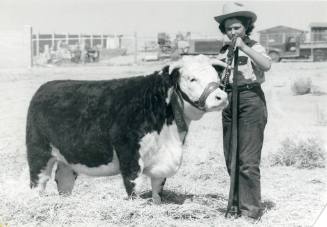 Junior Breeding Champion Heifer, owned by Alice Moore