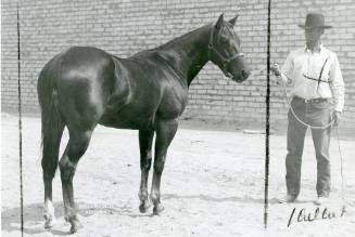 Bill Thompson stands next to his horse that took first place in its class