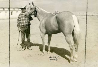 "She Flew", Champion Parade Type Mare, owned by Hank Wisecamp