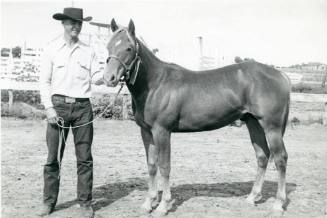 "Silver Tone Silver Boy", Second Prize Yearling Stallion at an open show