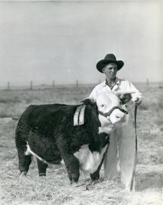 "Tom Thumb", Senior Champion Fat Calf, owned by Stanley Williams