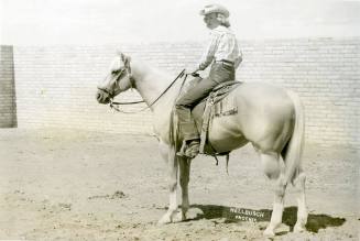 "Nugget McCue", Champion Stock Type Palomino Stallion, owned by Warren Shoemaker