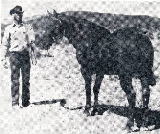 Newsprint photograph of an unidentified handler with a horse