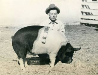 Reserve Champion Barrow Pig, owned by J. D. Bohannan