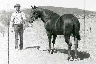 "Old Man", a Quarter Horse owned by Robert Johnson
