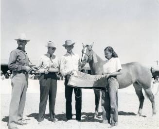 "Little Squaw B", Champion Mare of the American Quarter Horse Association Show