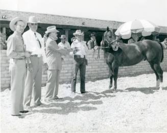 "Skipper W", Grand Champion Quarter Horse, owned by Hank Weiscamp