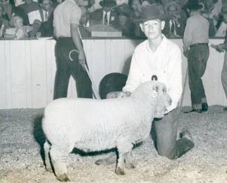 Junior Grand Champion Mutton Lamb, sold by Ray Keever