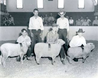 Grand Champion Lambs and their FFA handlers pose in the indoor show ring