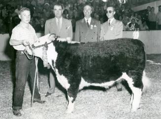 Grand Champion Steer, held by Jimmie Hayes