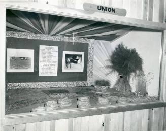 Union County agricultural exhibit