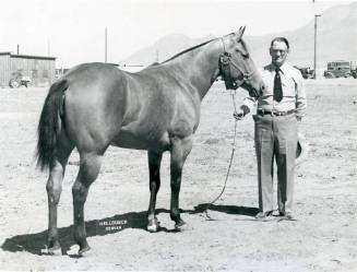 "Jole Blon S", Reserve Champion Quarter Horse Mare