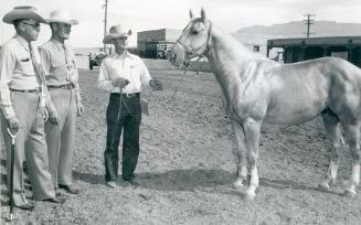 "Nugget McCue" stands with J. W. Shoemaker and two horse show judges