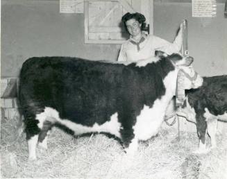 Grand Champion Fat Steer, owned by Una Belle Pitt