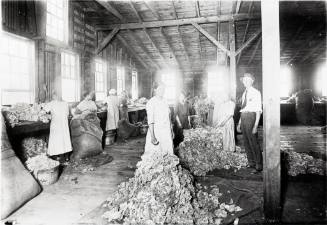 Young women in the scouring room of the Albuquerque Wool Scouring Mills