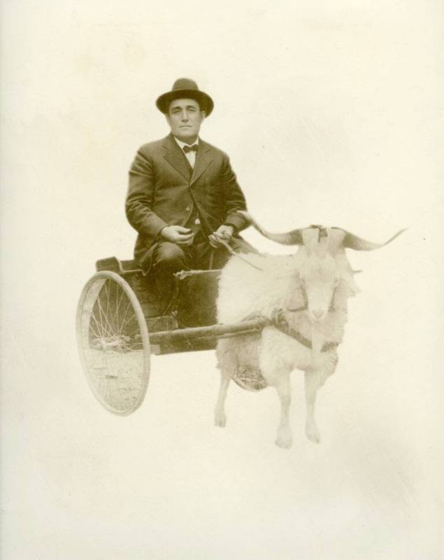 Jacob Korber in a Goat Cart
