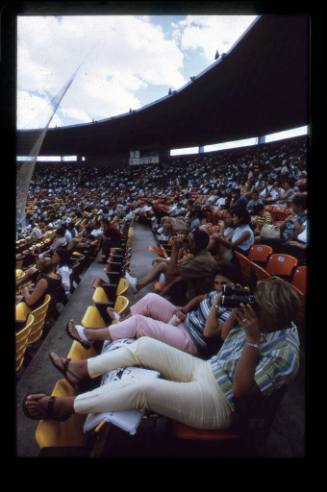 Spectators at the baseball stadium