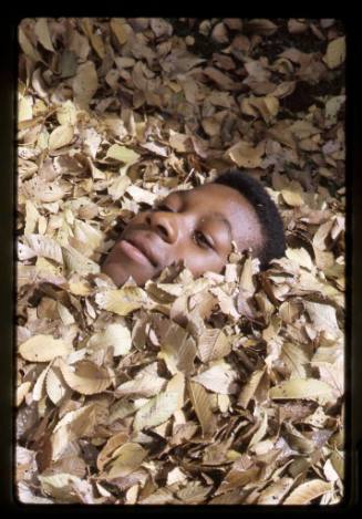 A boy's face peeks through fallen leaves