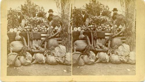 Produce display at the Territorial Exposition