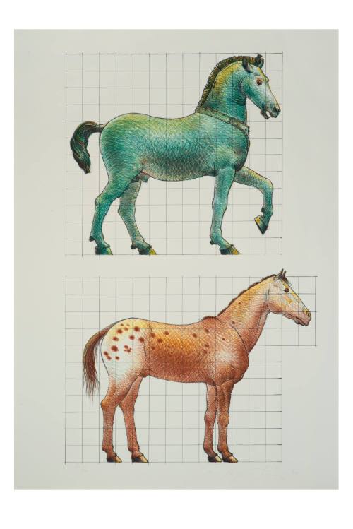 Study of a Classical Horse and a Modern Horse