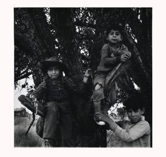 Griegos in Apple Tree, from the series: Village of Manzano (Villa de Manzano)