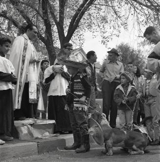 The Blessing of the Animals Ceremony