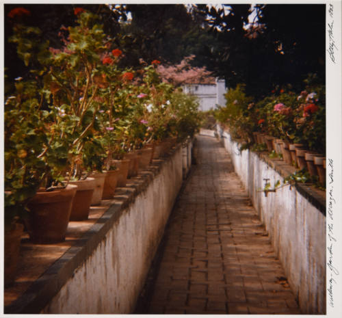 Walkway - Garden of the Alcazar, Seville