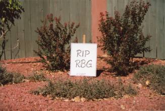 "RIP RBG" Yard Sign