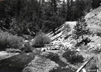 Stream in Santa Fe National Forest