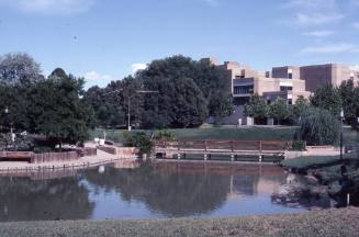 University of New Mexico Duck Pond