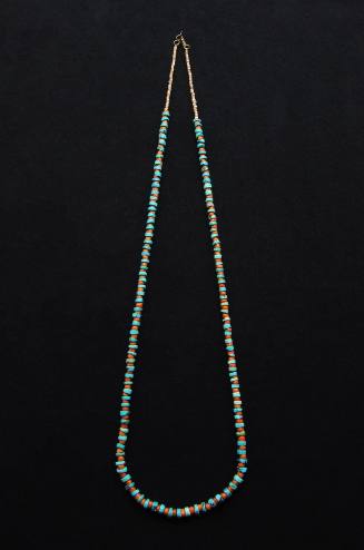 One-strand Turquoise and Shell Necklace