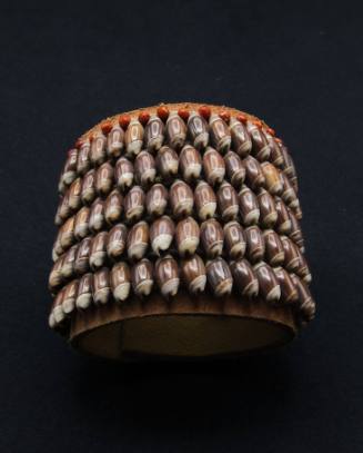 Olivella Shell Bracelet