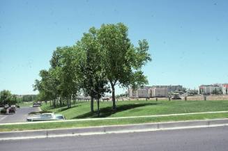 Montano Plaza parking