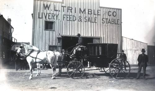 W.L. Trimble Company's Livery Stable