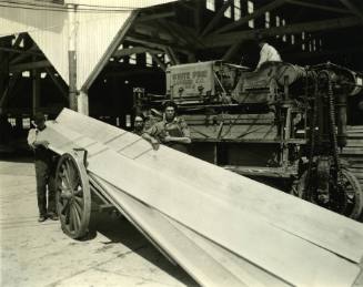 White Pine Lumber Company