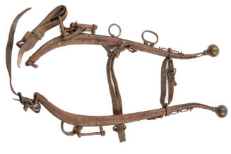 Harness