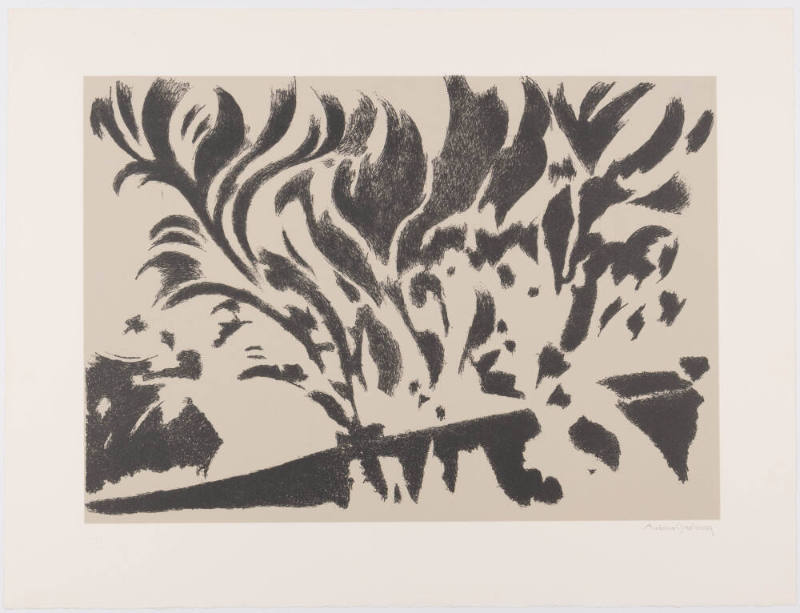 Baroque Trees