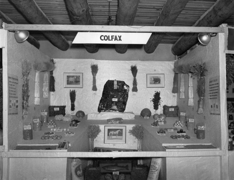 Colfax County agricultural exhibit