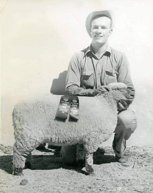 Grand Champion Mutton, owned by Fred Bamert