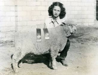 Champion Dual Purpose Fat Lamb, owned by Nancy Roby