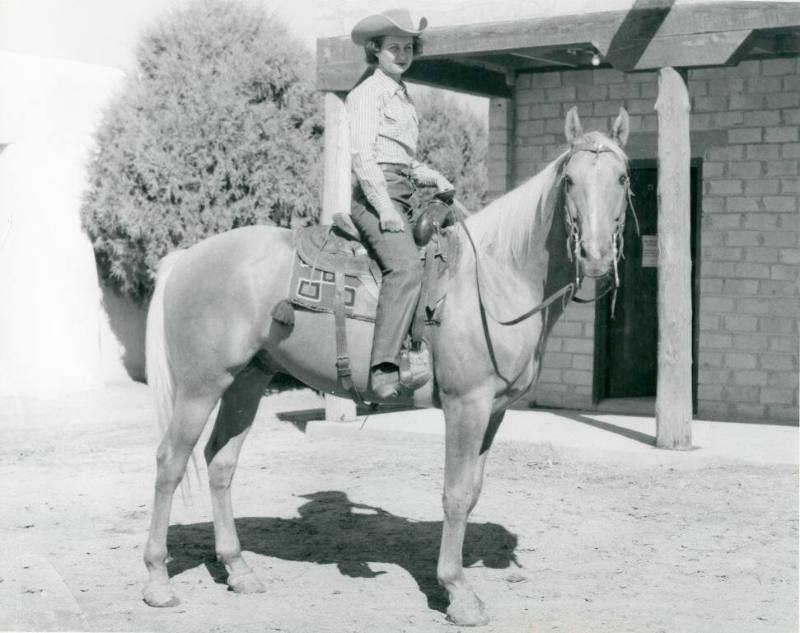 "Muchacho de Oro", Performance Class Horse owned by Mrs. H. E. Babcock, Jr.
