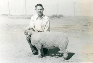 Champion Mutton Lamb, owned by Fort Sumner FFA