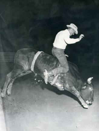 Unidentified rodeo cowboy rides a bull at a rodeo