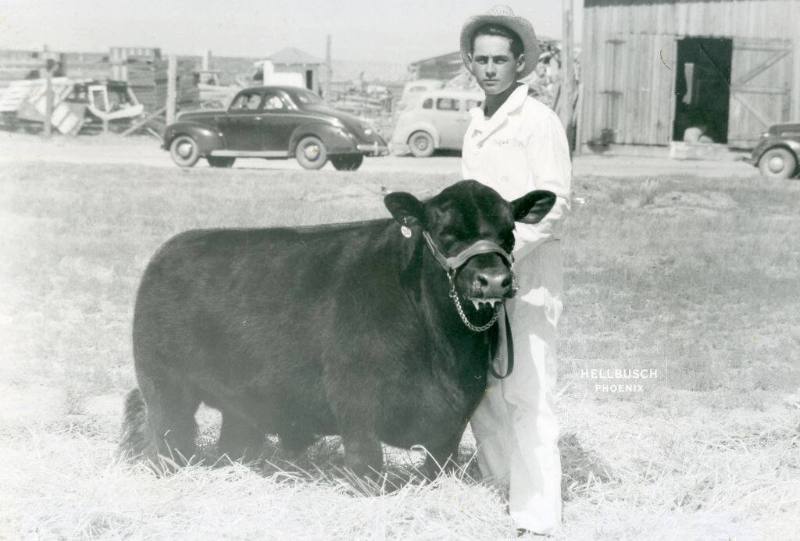 Reserve Champion Fat Calf, owned by Clifford Copeland